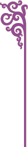 border.gif