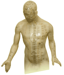 Olympic Acupuncture, Acupuncture, Port Angeles