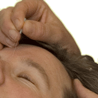 needle4721.gif